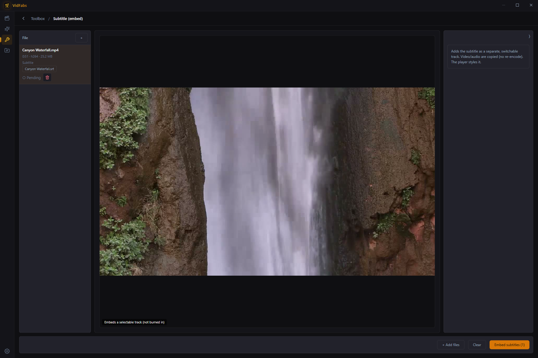 Subtitle embed